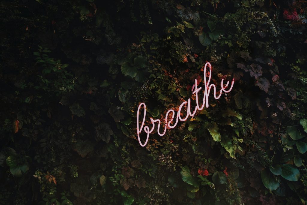pink neon handwritten word "breathe' against a background of ivy leaves as a symbol of calm and introspection.