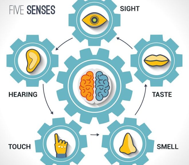 ‘Know Your Senses’