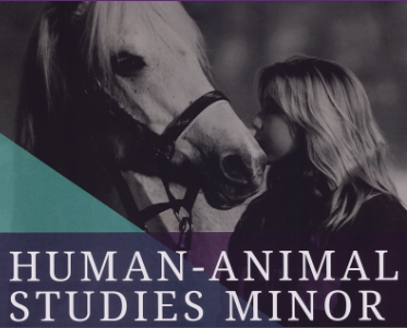 A PROGRAM FOR ANIMAL LOVERS: Human Animal Studies Offered as a Minor