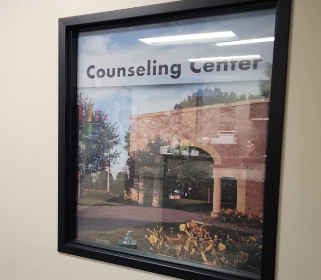HEY CSU! Questions from the 2022 CSU Student Survey: How to Receive Counseling